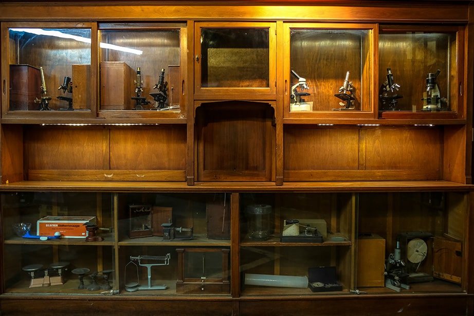 City Museum Collections_3