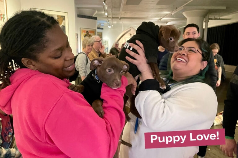Puppy Love