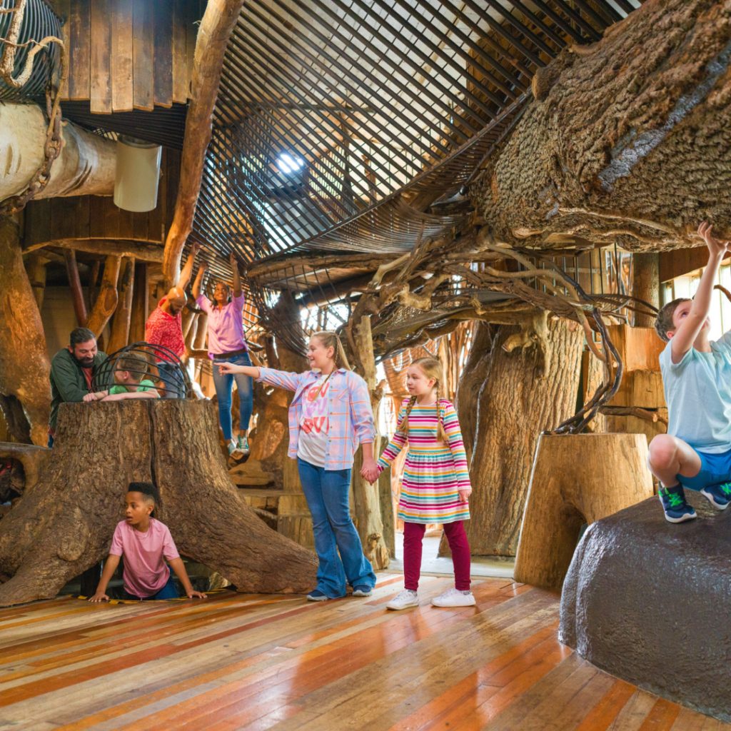Kids at the Treehouse