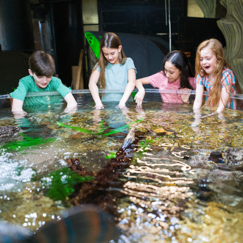 Kids exploring the Doctor Fish Exhibit